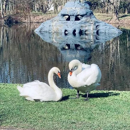 Botanical Manor Apartamento