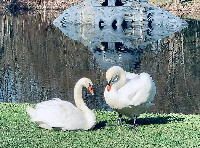 Botanical Manor Apartamento